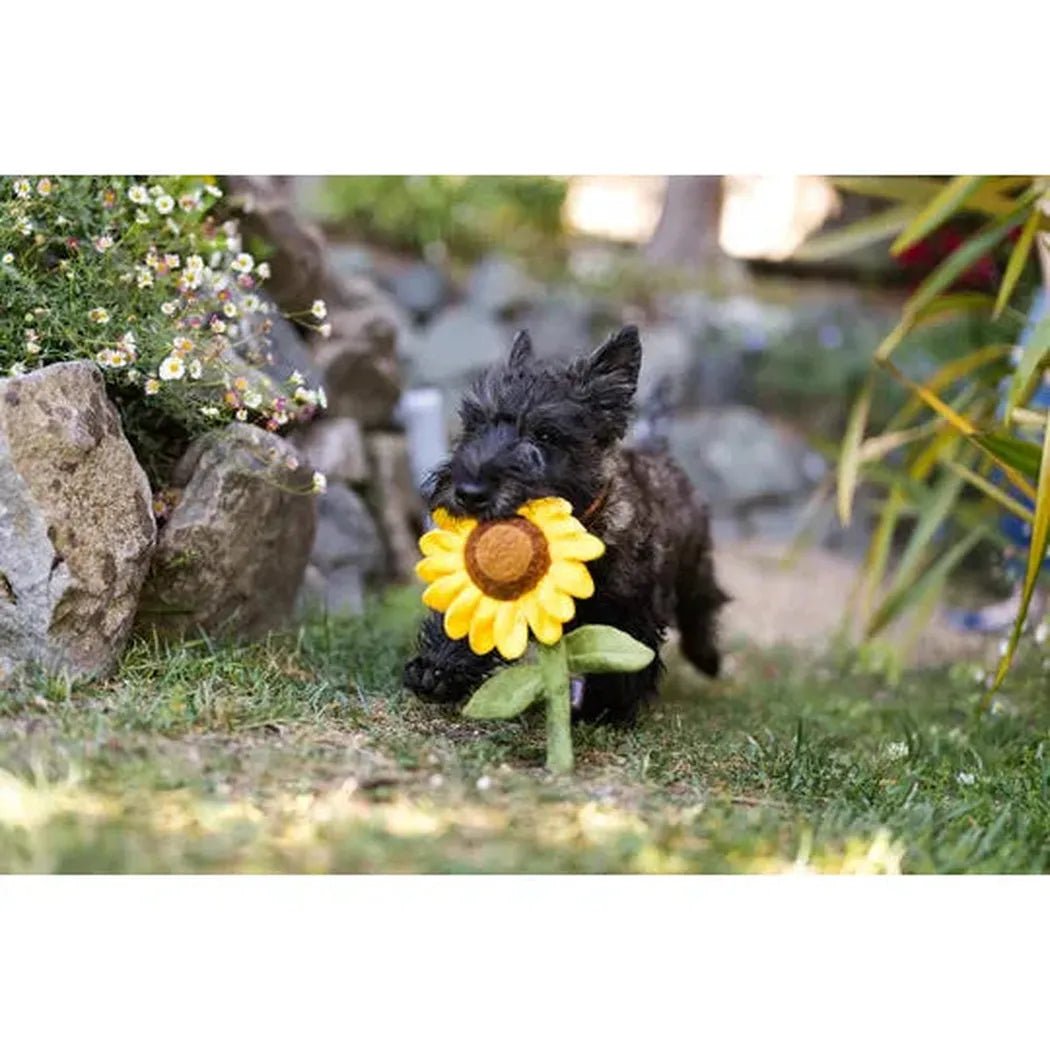 P.L.A.Y Blooming Buddies Sassy Sunflower-Pets - Toys-Appalachian Outfitters