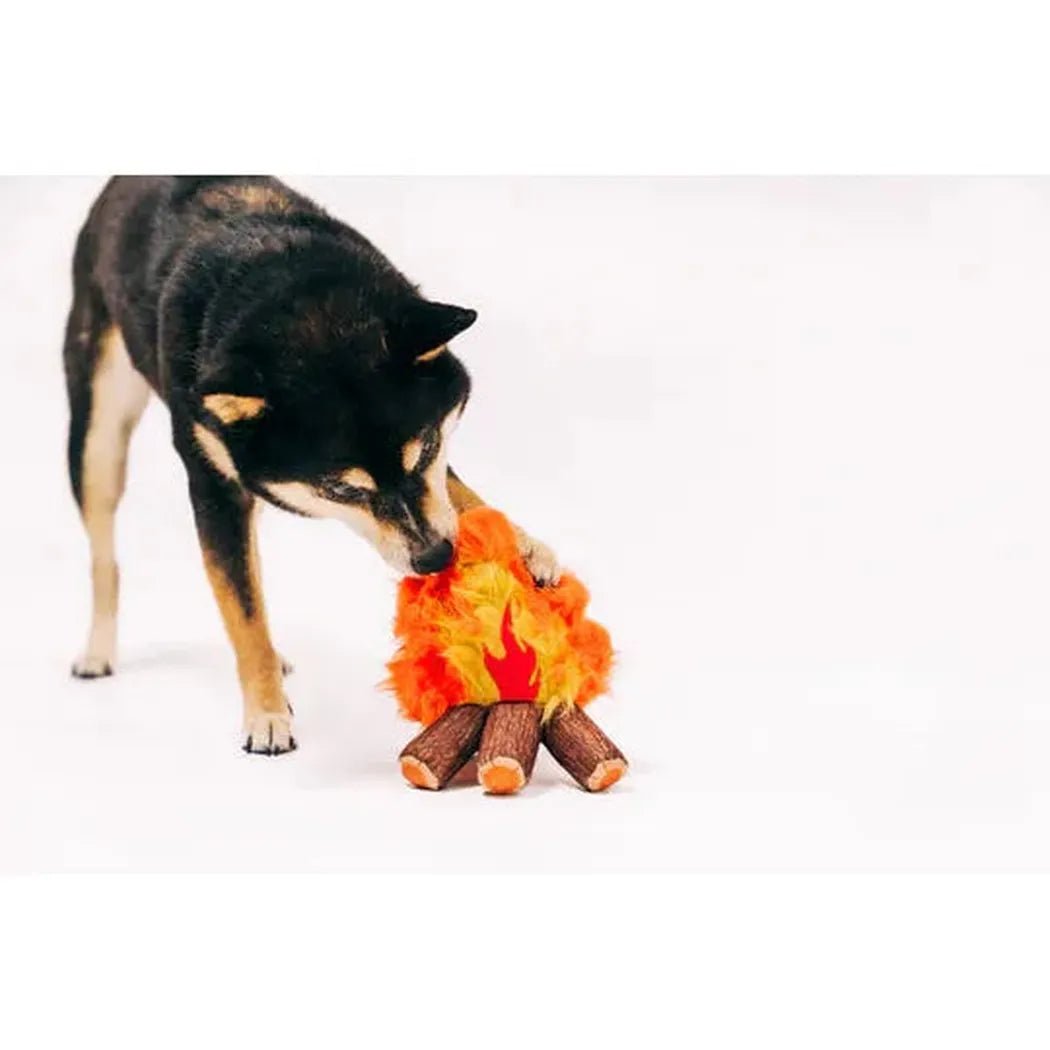 A black and tan dog sniffs the P.L.A.Y Camp Corbin Cozy Campfire toy on a white background.