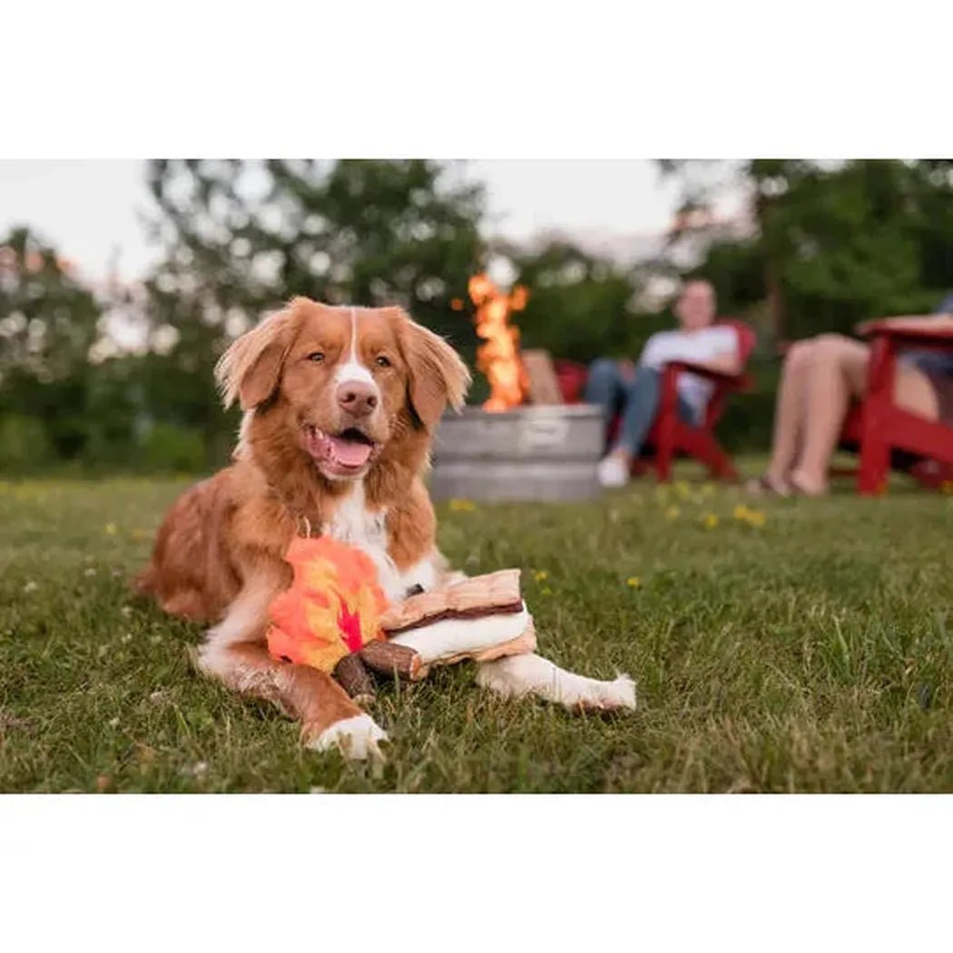 P.L.A.Y Camp Corbin Gimme S'more-Pets - Toys-Appalachian Outfitters