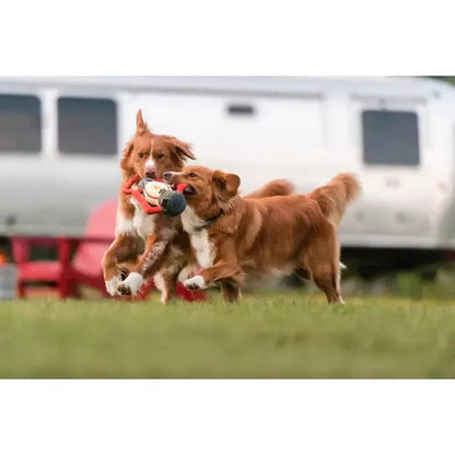 P.L.A.Y Camp Corbin Pack Leader Lantern-Pets - Toys-Appalachian Outfitters