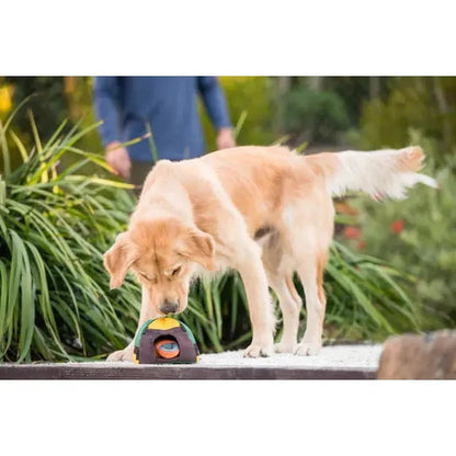 P.L.A.Y Camp Corbin Trailblazing Tent-Pets - Toys-Appalachian Outfitters