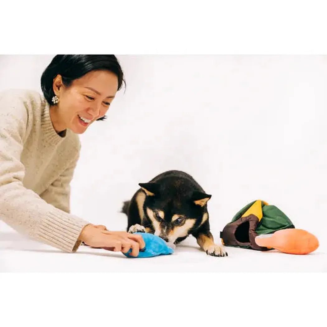 P.L.A.Y Camp Corbin Trailblazing Tent-Pets - Toys-Appalachian Outfitters
