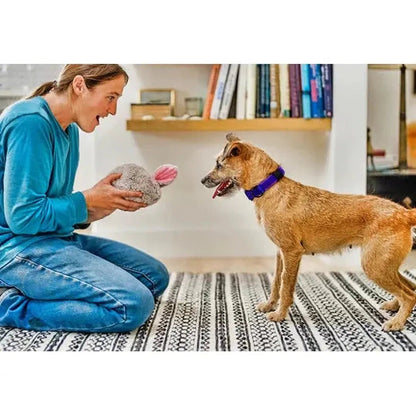 A woman kneels on a rug holding a P.L.A.Y Forest Friends Baxter the Bunny toy while a dog with a purple collar looks at her.