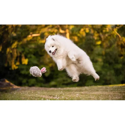 A fluffy white puppy leaps to catch the P.L.A.Y Forest Friends Baxter the Bunny toy in a sunny outdoor setting.