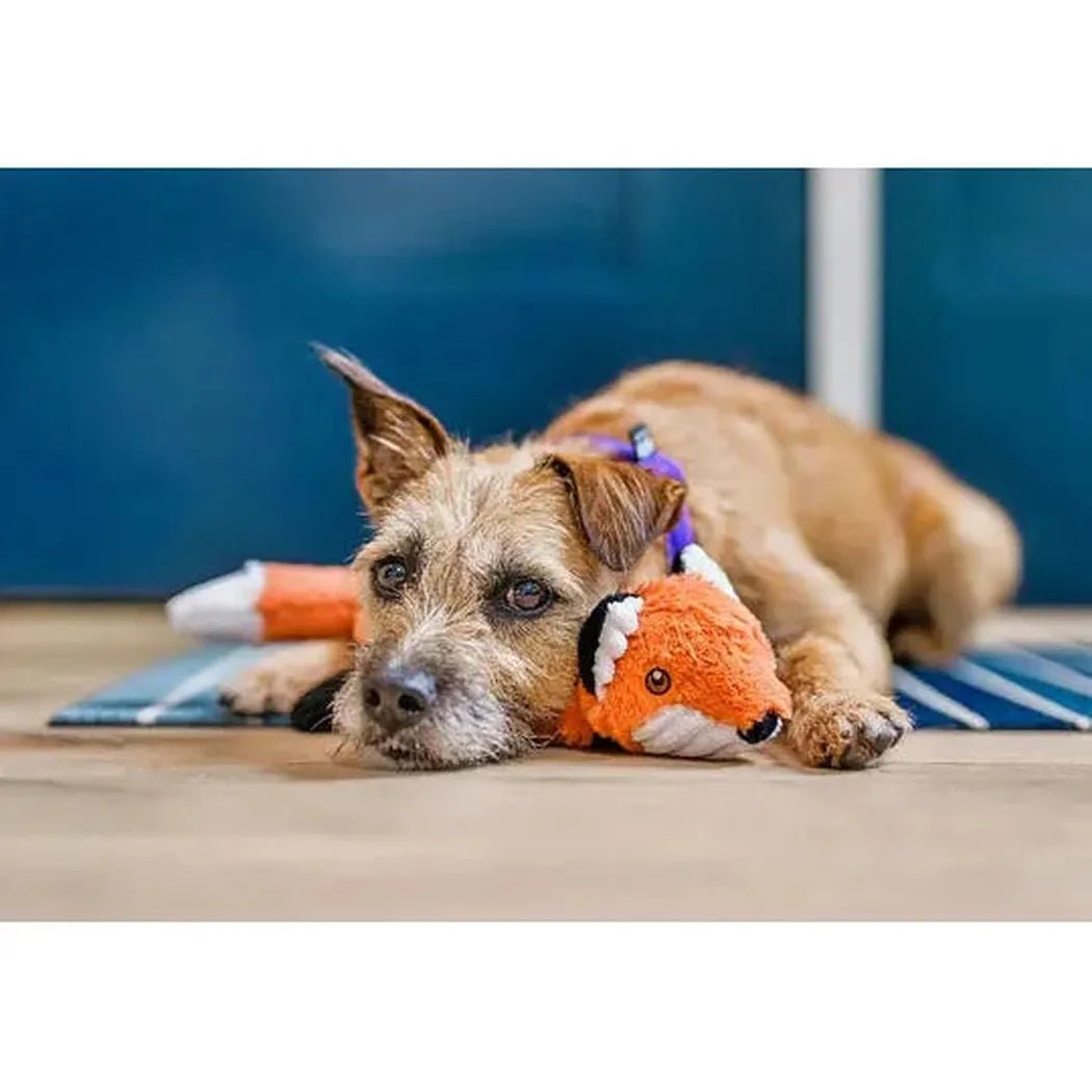 P.L.A.Y Forest Friends Forest the Fox-Pets - Toys-Appalachian Outfitters