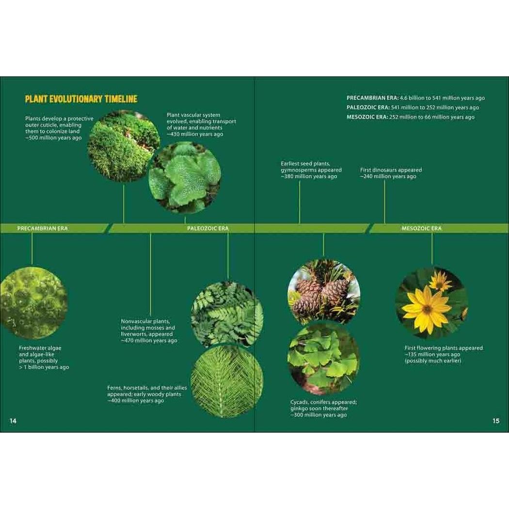 Pollinators & Native Plants for Kids-Books - Books-Appalachian Outfitters