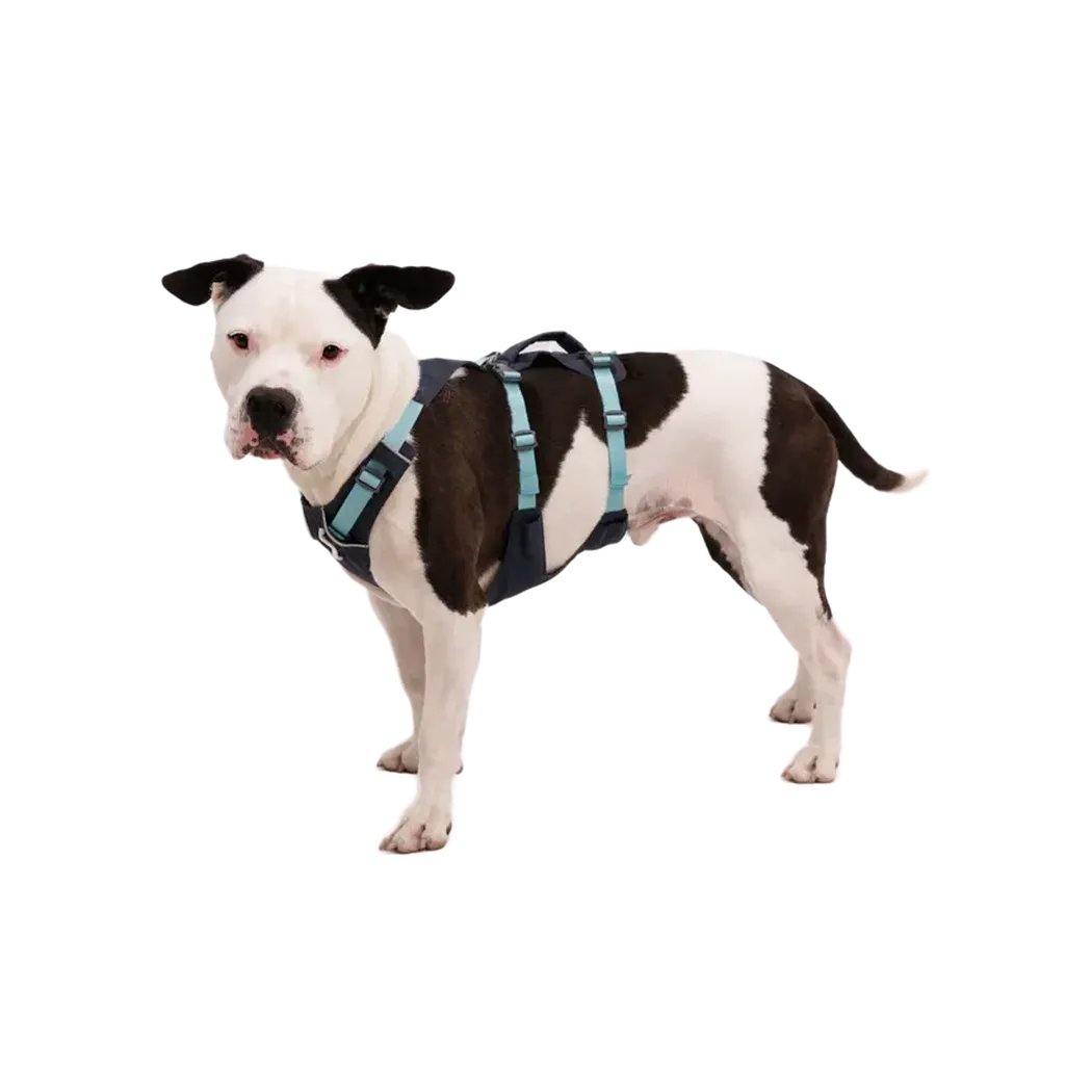 Ruffwear Flagline Dog Harness With Handle-Pets - Harnesses-Appalachian Outfitters