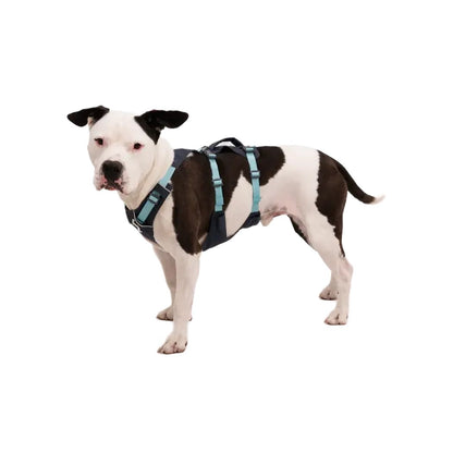 Ruffwear Flagline Dog Harness With Handle-Pets - Harnesses-Appalachian Outfitters