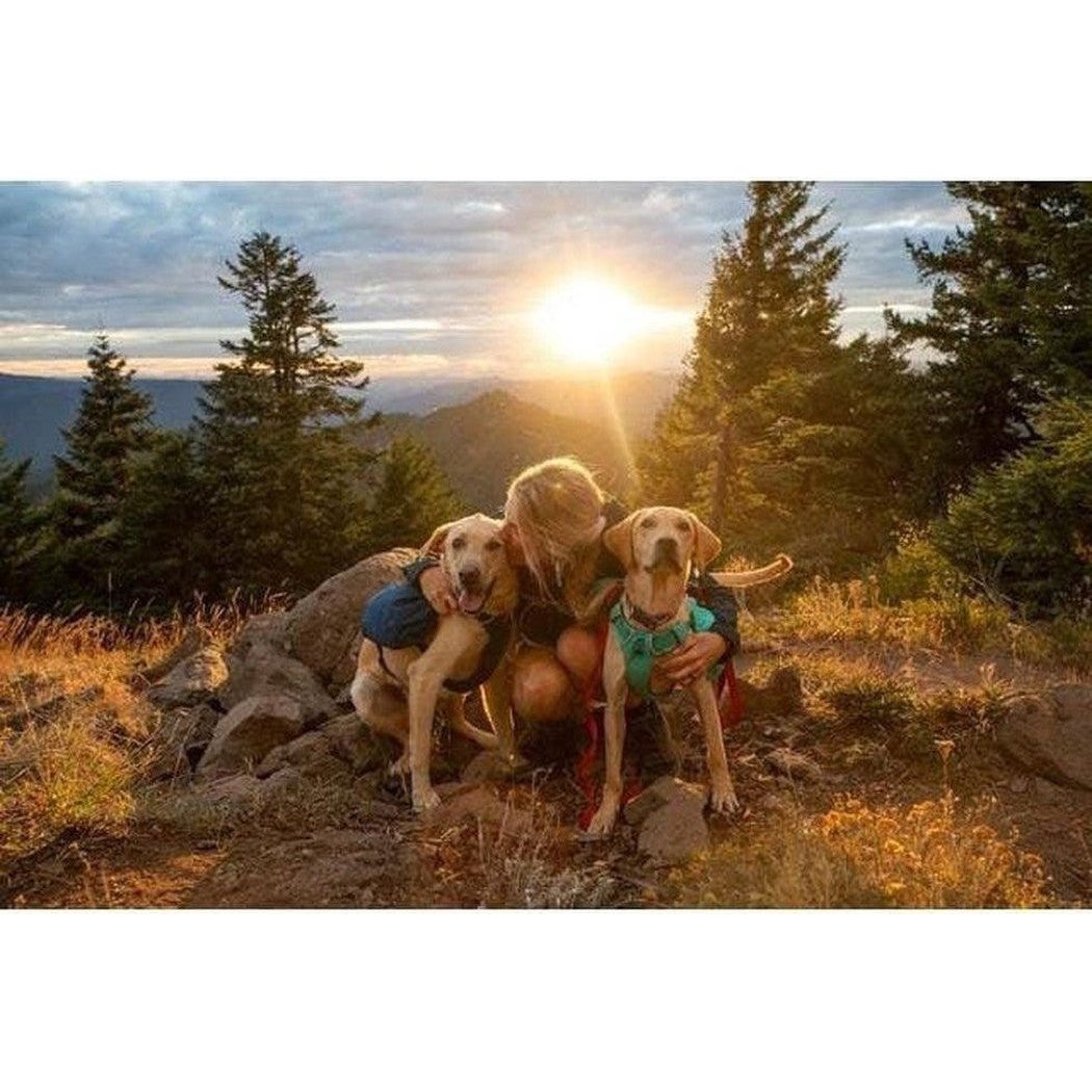 Ruffwear Front Range Day Pack-Pets - Packs-Appalachian Outfitters