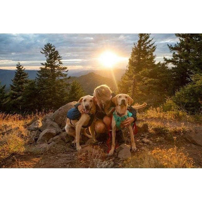 Ruffwear Front Range Day Pack-Pets - Packs-Appalachian Outfitters