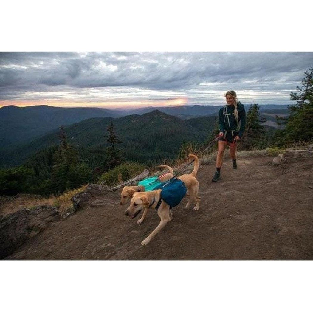 Ruffwear Front Range Day Pack-Pets - Packs-Appalachian Outfitters