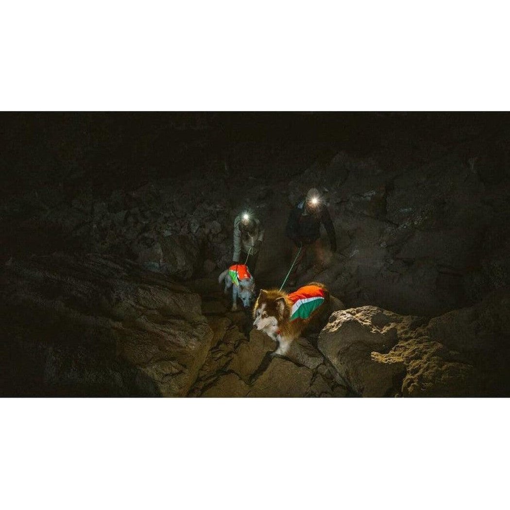 Two people with headlamps lead two dogs wearing Blaze Orange Ruffwear Lumenglow High-vis Jackets through a dark cave.