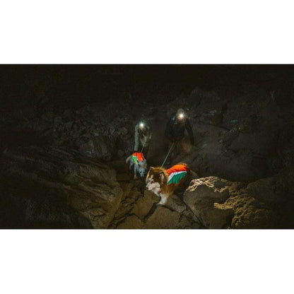Two people with headlamps lead two dogs wearing Blaze Orange Ruffwear Lumenglow High-vis Jackets through a dark cave.