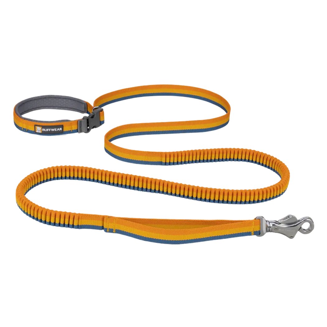 A side view of the Ruffwear Roamer Leash in Orion Blue showing the bungee section and metal clip against a white background.