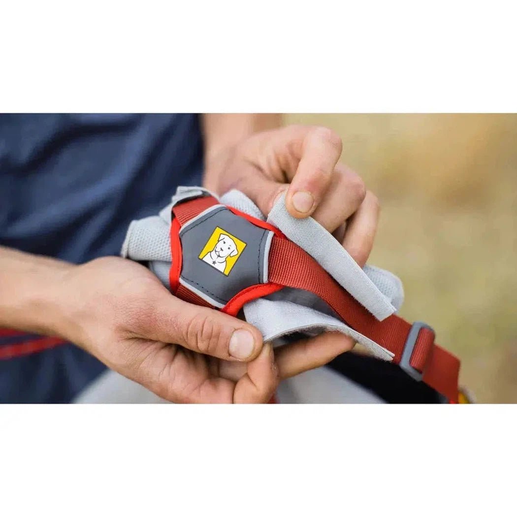 A person holds the Graphite Grey Ruffwear Swamp Cooler Core, showing its padded design and logo against a blurred outdoor background.