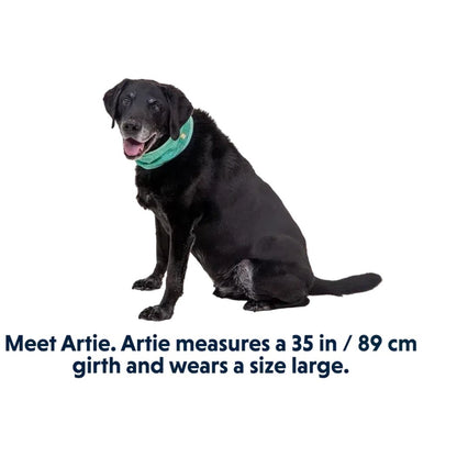 Ruffwear Swamp Cooler Neck Gaiter-Pets - Collars-Appalachian Outfitters