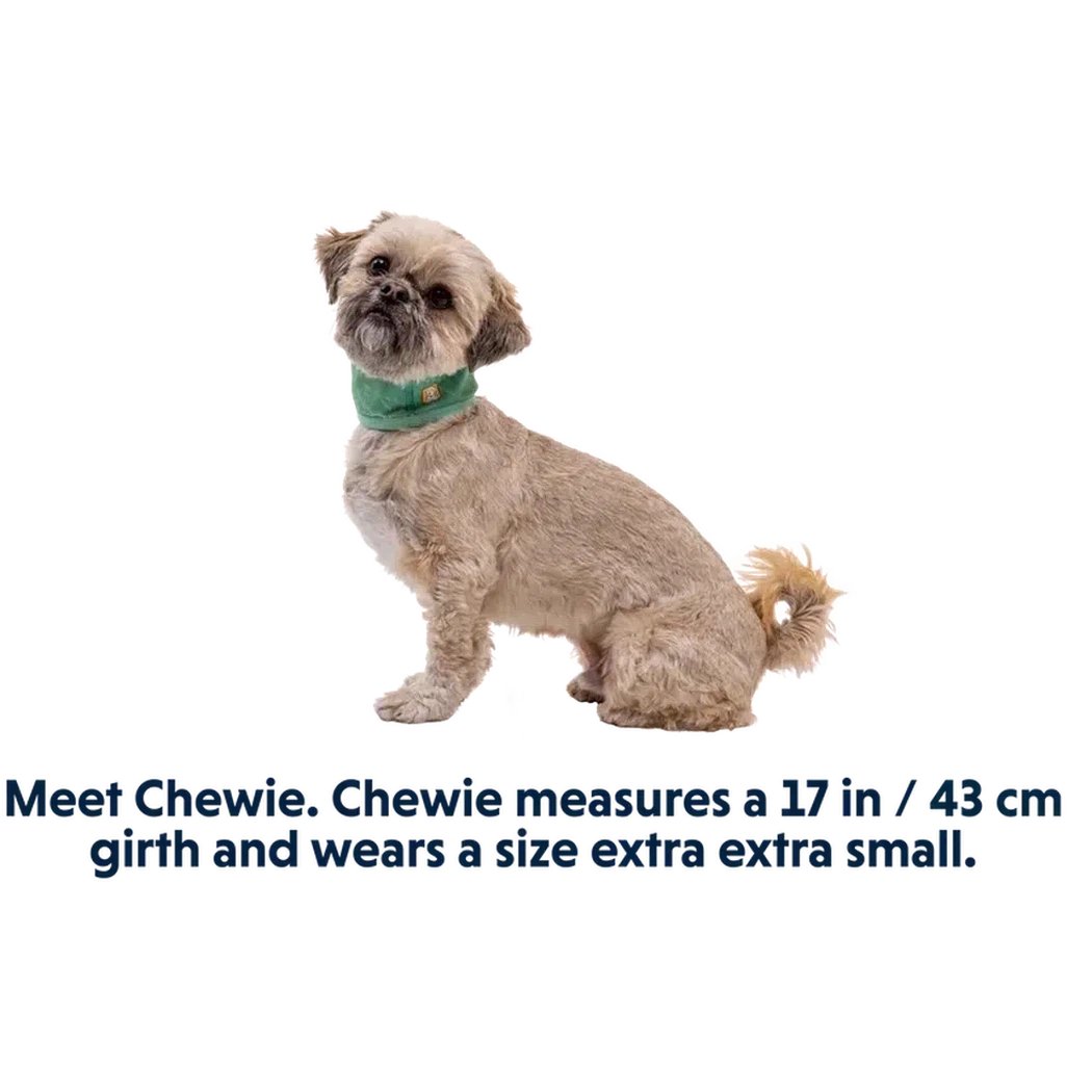 Ruffwear Swamp Cooler Neck Gaiter-Pets - Collars-Appalachian Outfitters