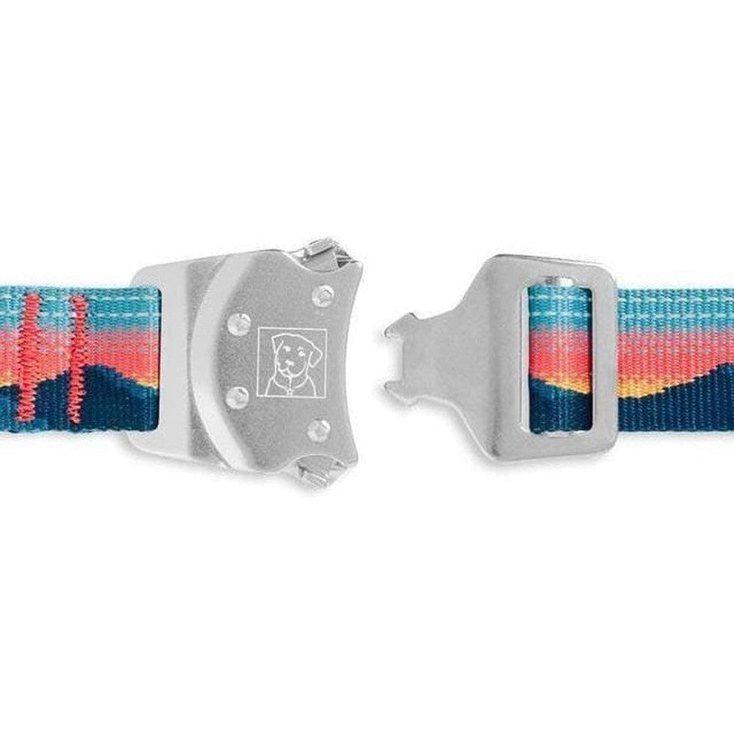 Side view of the Ruffwear Top Rope Collar in Sunset showing the metal buckle and colorful strap against a white background.