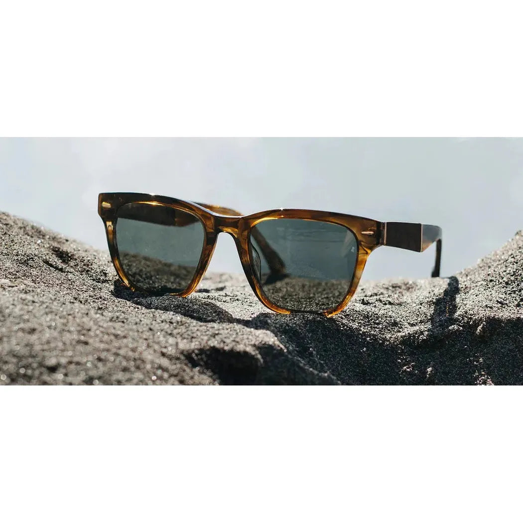 A pair of Shwood Ankeny sunglasses in Autumn // Elm Burl rest on a rocky surface with a light sky in the background.