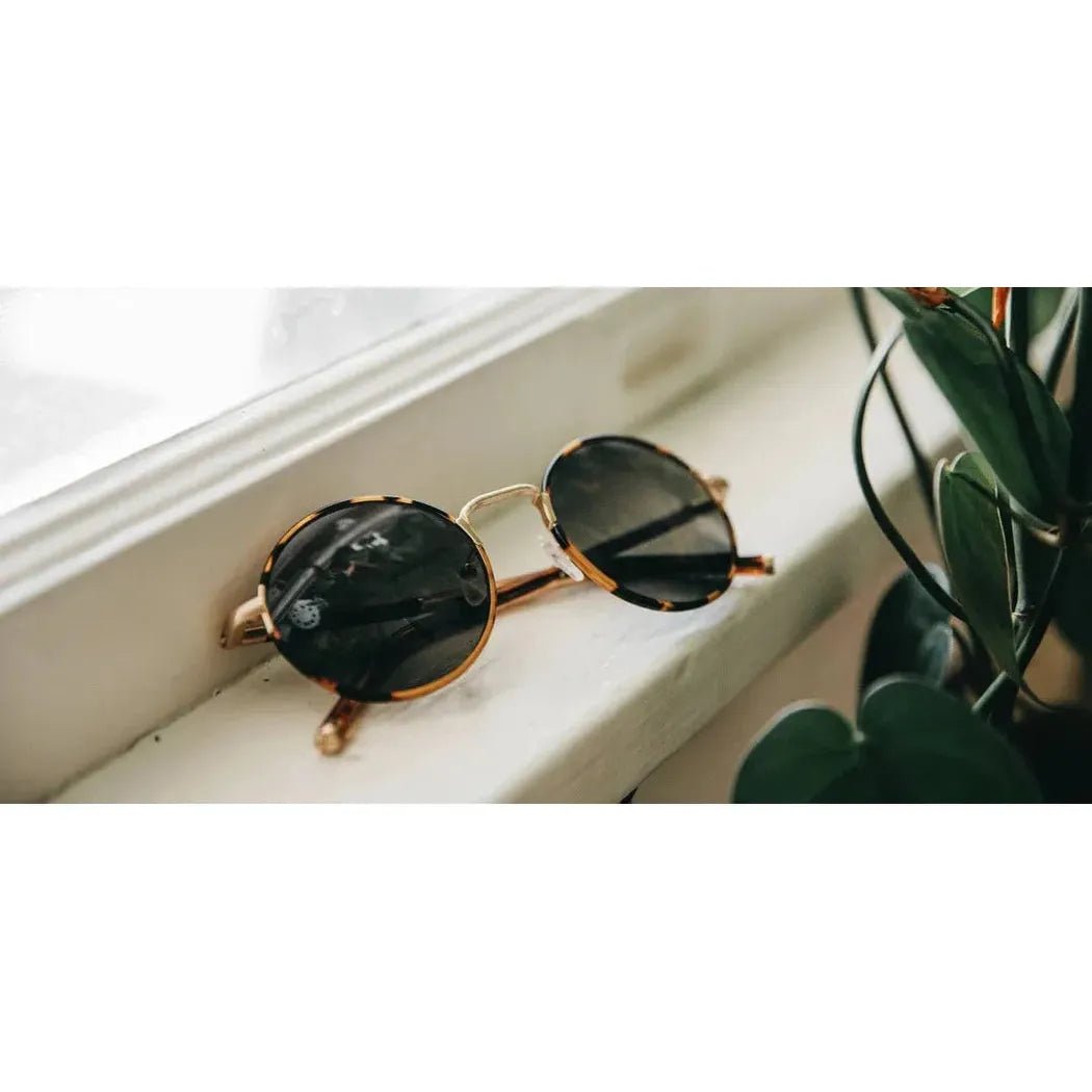 Shwood Hawthorne-Accessories - Eyewear - Sunglasses-Appalachian Outfitters