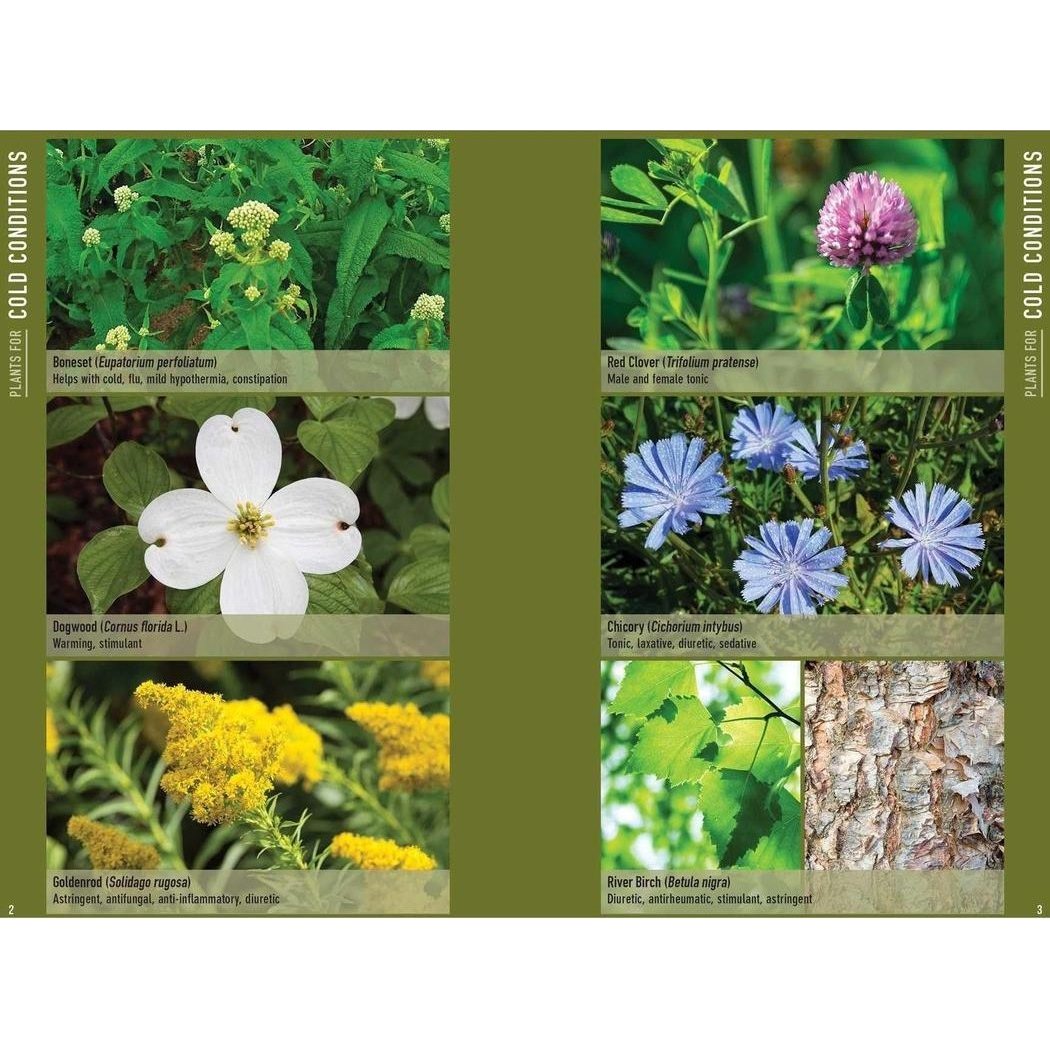 Simon & Schuster Bushcraft First Aid by Dave Canterbury-Books - Books-Appalachian Outfitters