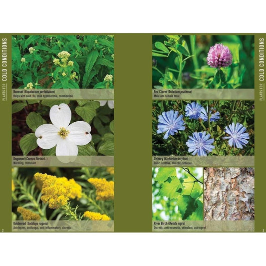 Simon & Schuster Bushcraft First Aid by Dave Canterbury-Books - Books-Appalachian Outfitters