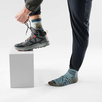 Smartwool Hike Tareted Cushion Bear Stripe Mid Crew Socks-Accessories - Socks - Unisex-Appalachian Outfitters