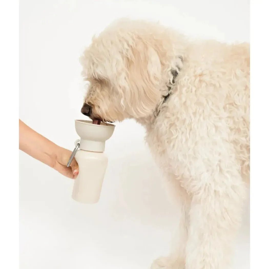 Springer Flip Dog Travel Bottle-Pets - Bowls-Appalachian Outfitters