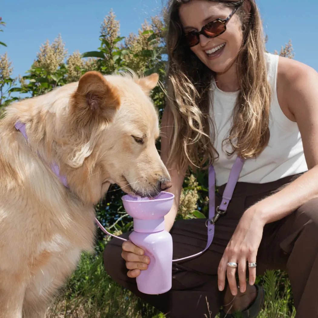 Springer Flip Dog Travel Bottle-Pets - Bowls-Appalachian Outfitters