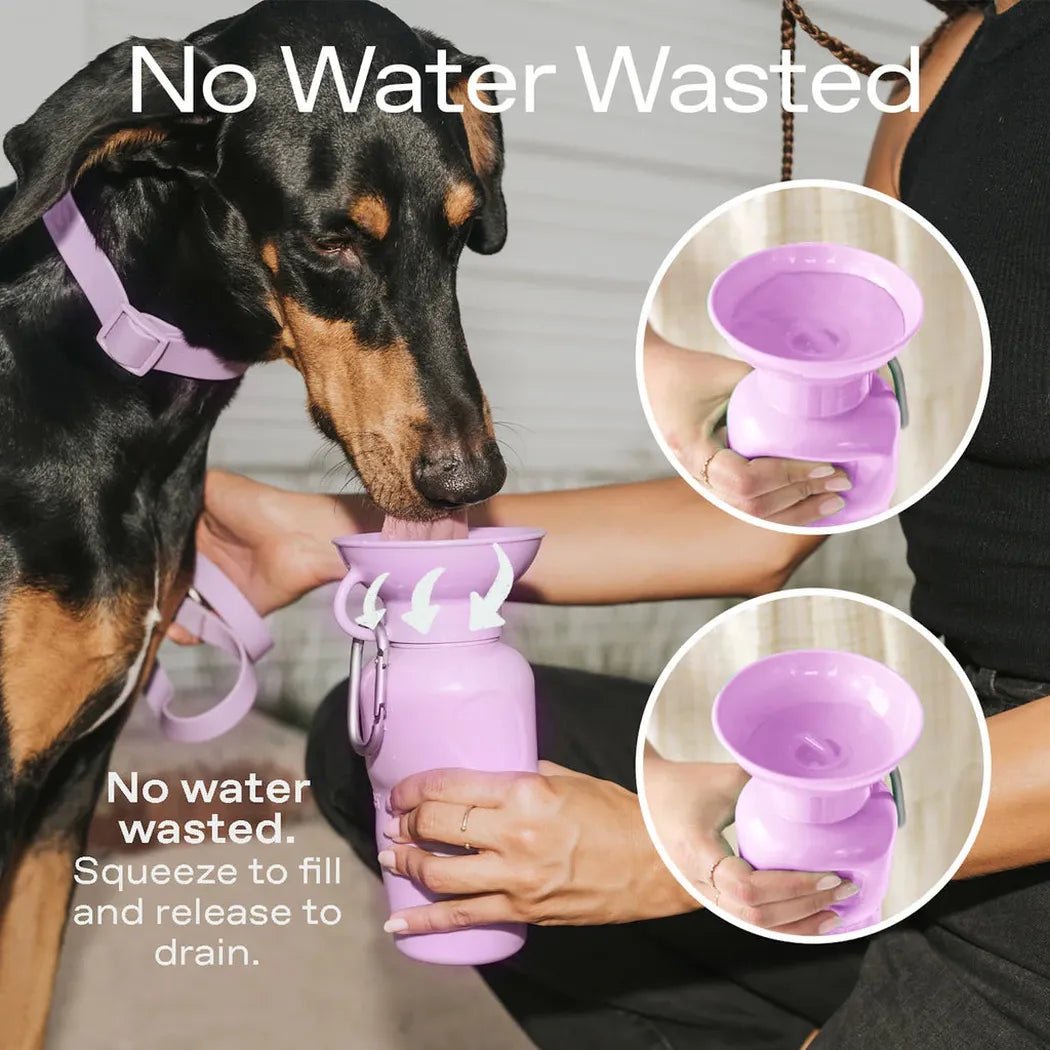 Springer Growler Dog Travel-Pets - Bowls-Appalachian Outfitters
