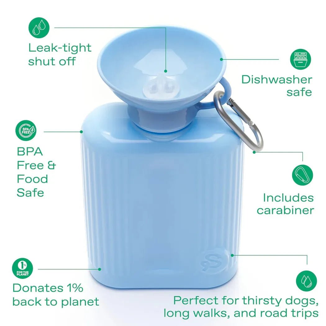A gray Springer Growler Dog Travel with a leak - tight shut off and dishwasher safe feature is shown from a front angle.