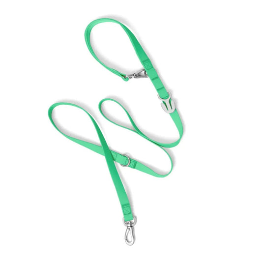 A green Springer Premium Waterproof 5ft Dog Leash with padded handle and metal clips on a white background.