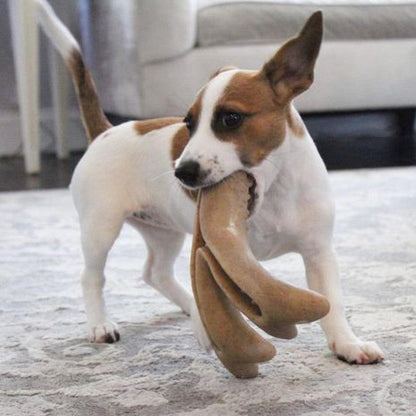 A small dog holds a Tall Tails Antler Chew toy in its mouth on a patterned rug with a couch in the background.
