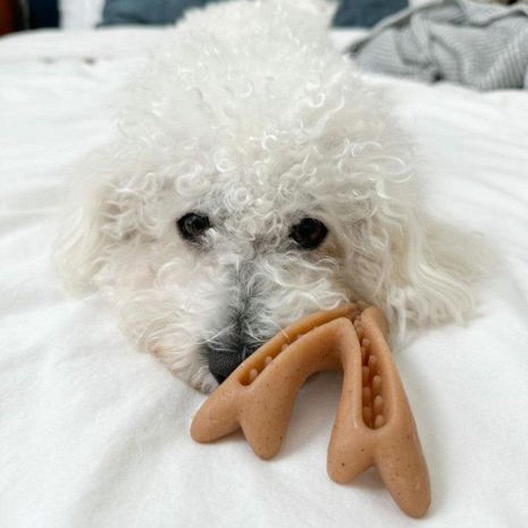 Tall Tails Antler Chew-Pets - Toys-Appalachian Outfitters