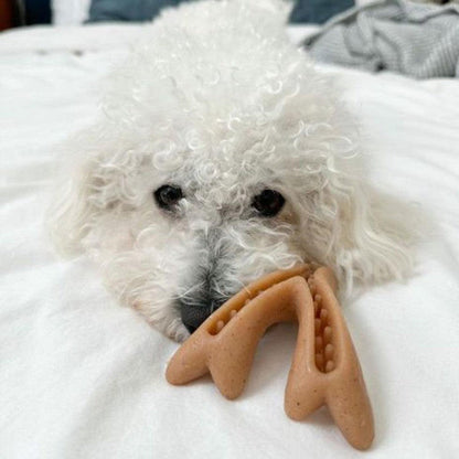 Tall Tails Antler Chew-Pets - Toys-Appalachian Outfitters