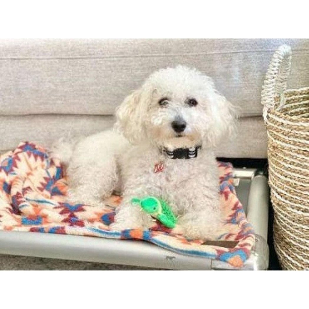A white dog wearing a collar sits on a colorful blanket with a green Tall Tails Baby Turtle With Squeaker Toy in front of it, next to a woven basket.