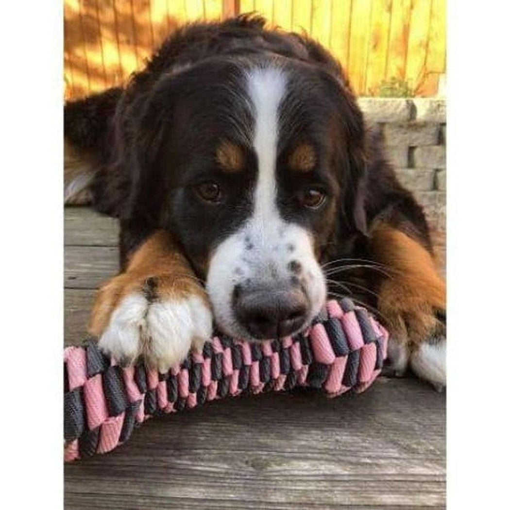 A Bernese Mountain Dog rests its head on a pink Tall Tails Bone Toy on a wooden deck with a stone wall and wooden fence in the background.