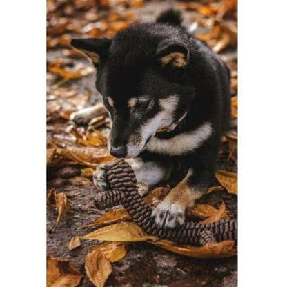 A black and white dog plays with the Tall Tails Brown Braided Stick Toy on a leaf-covered ground.