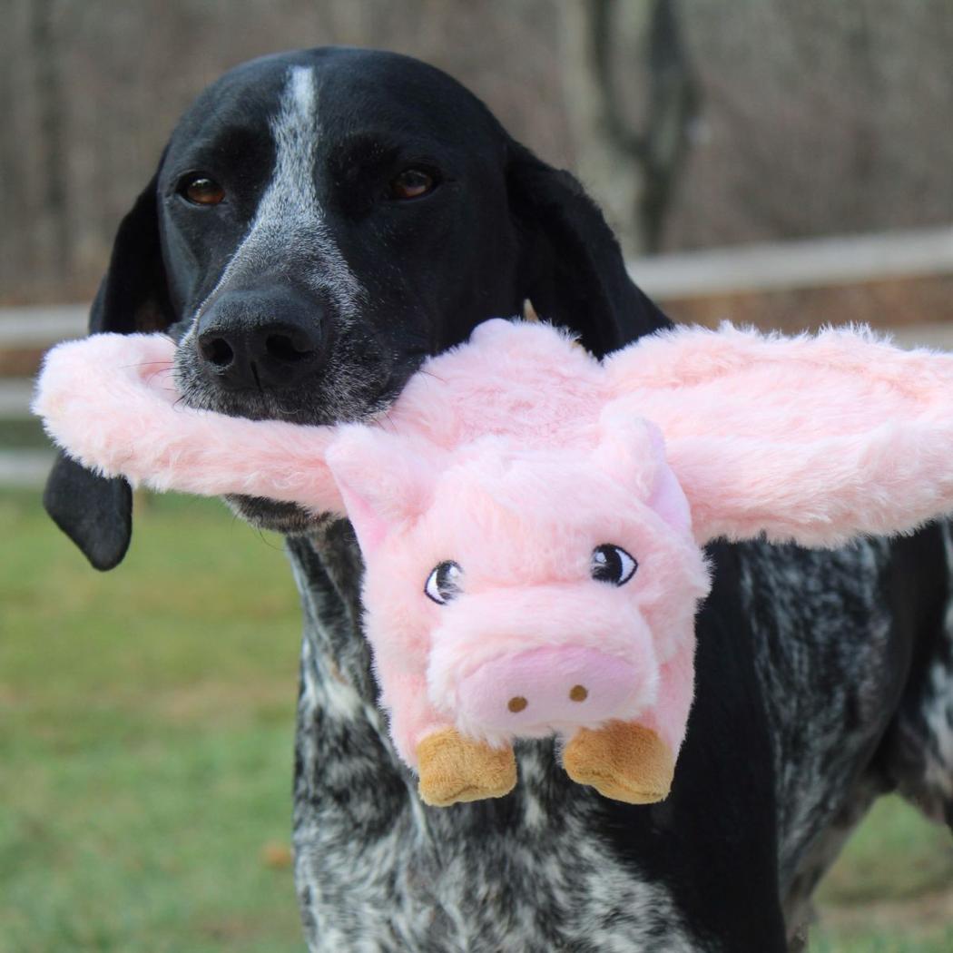 Tall Tails Fling and Fetch Plush Toy-Pets - Toys-Appalachian Outfitters