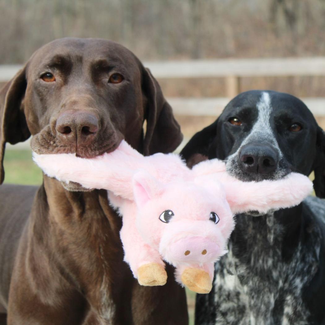 Tall Tails Fling and Fetch Plush Toy-Pets - Toys-Appalachian Outfitters