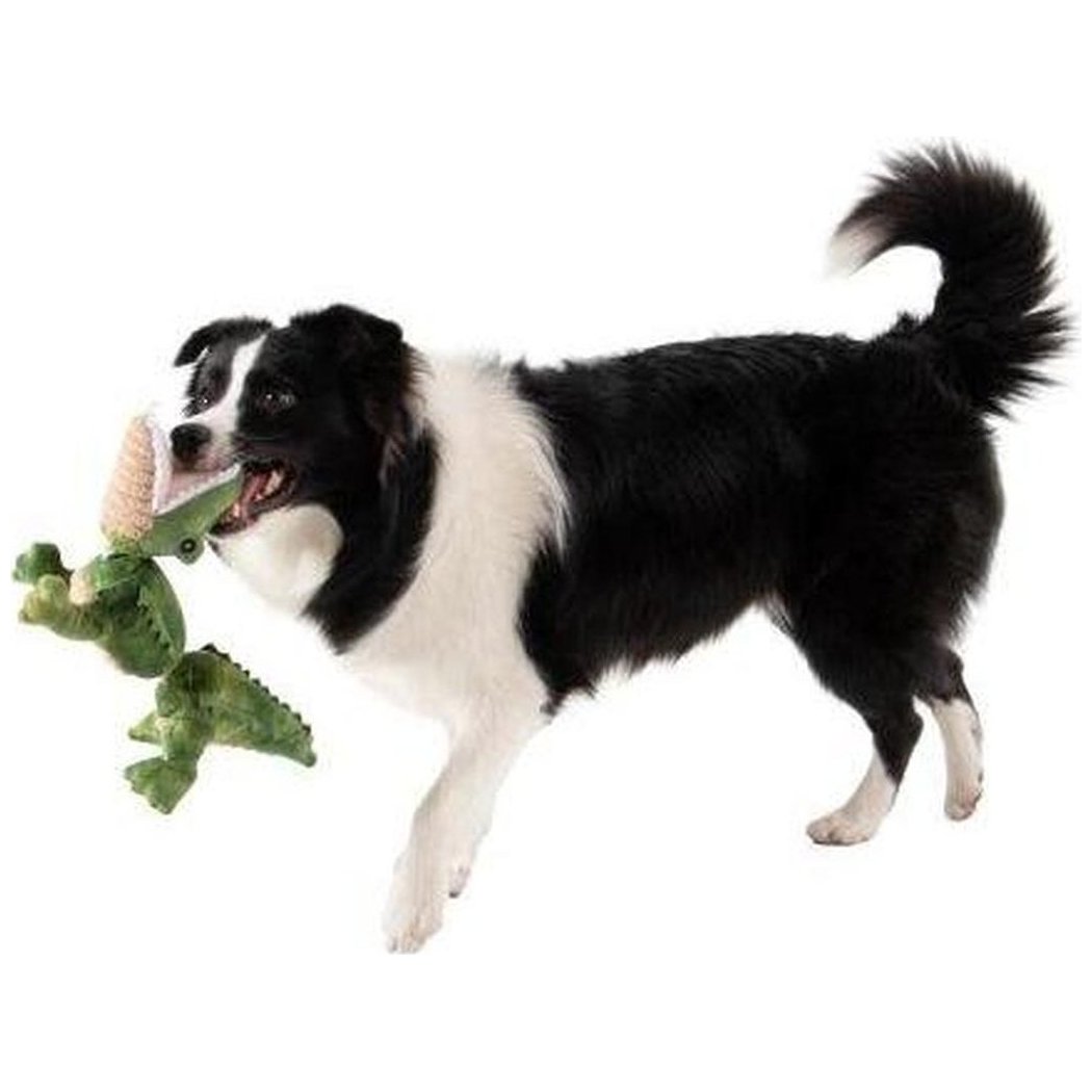 A black and white dog holds the Tall Tails Gator Jointed Shake Play Dog Toy in its mouth against a white background.