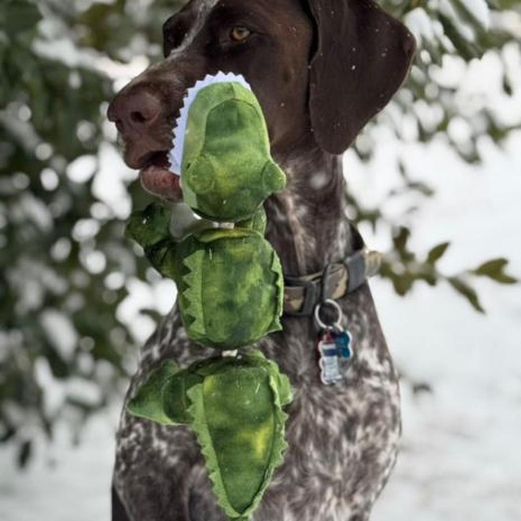 Tall Tails Gator Jointed Shake Play Dog Toy-Pets - Toys-Appalachian Outfitters