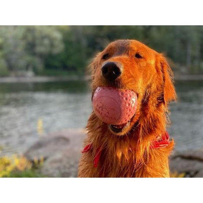 Tall Tails GOAT Ball-Pets - Toys-Appalachian Outfitters