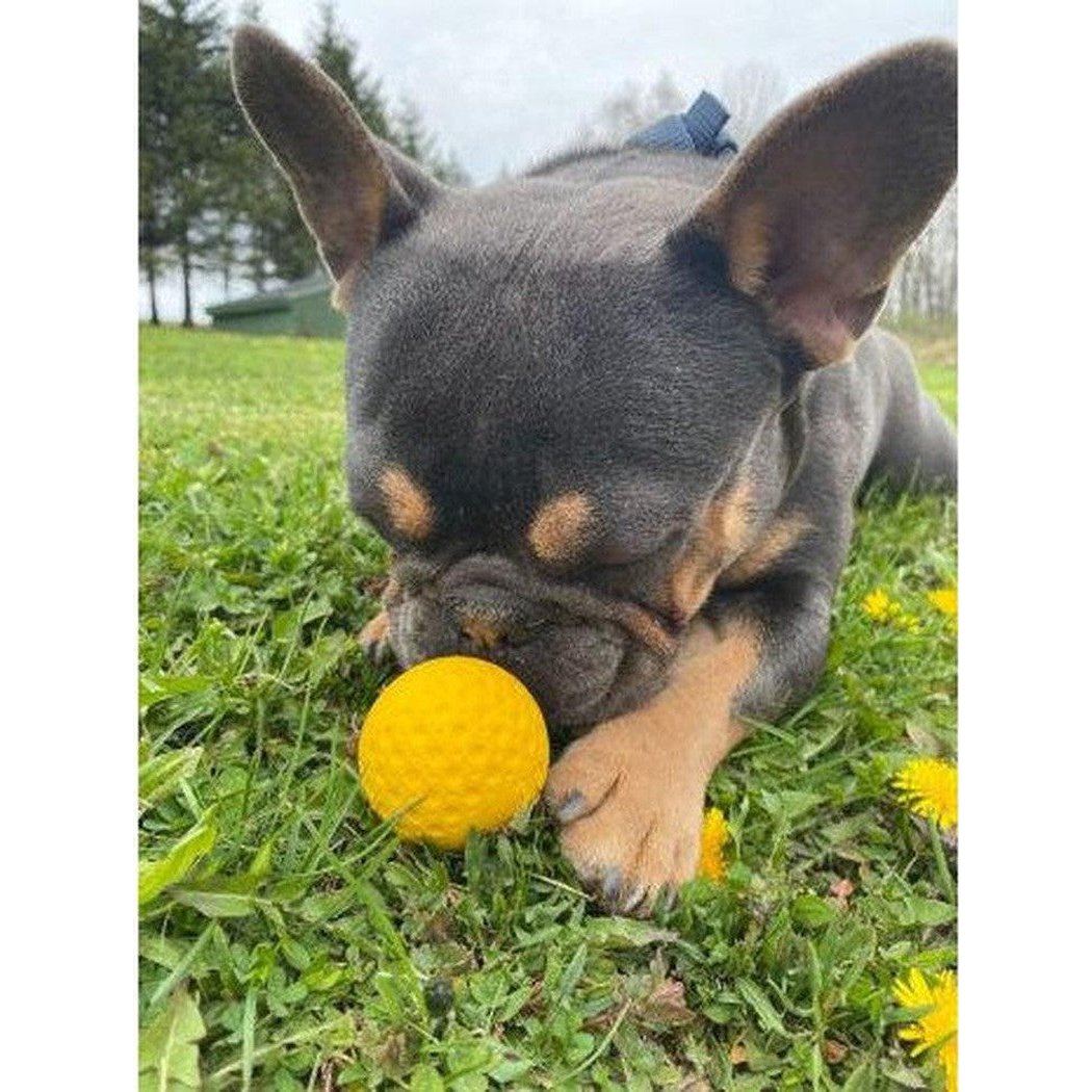 Tall Tails GOAT Ball-Pets - Toys-Appalachian Outfitters