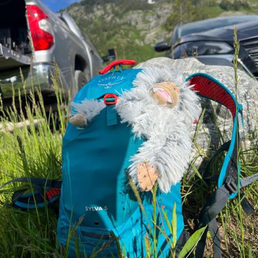 Tall Tails Mini Yeti with Squeaker-Pets - Toys-Appalachian Outfitters