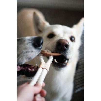 Tall Tails Natural Leather Big Jr. Tug Toy-Pets - Toys-Appalachian Outfitters