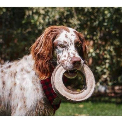 A brown and white dog wearing a red plaid collar holds the Tall Tails Natural Leather Ring Toy in its mouth, with trees in the background.