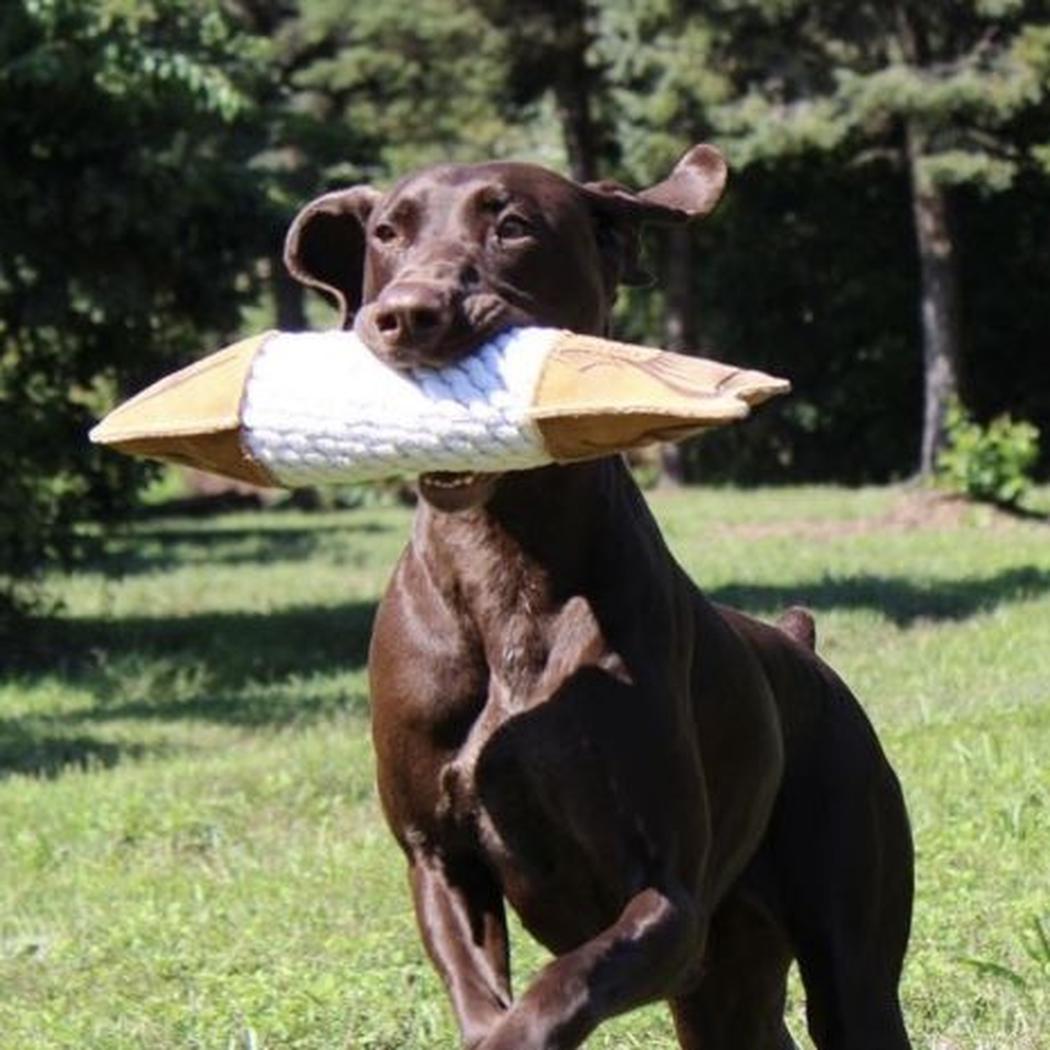 Tall Tails Natural Leather Trout Rope Tug Dog Toy - 15"-Pets - Toys-Appalachian Outfitters