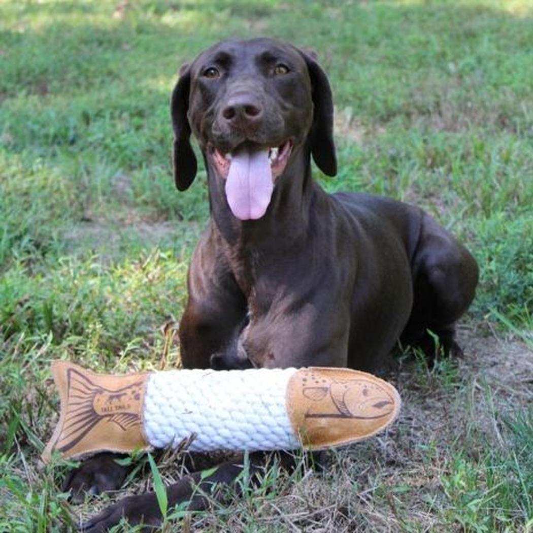 Tall Tails Natural Leather Trout Rope Tug Dog Toy - 15"-Pets - Toys-Appalachian Outfitters