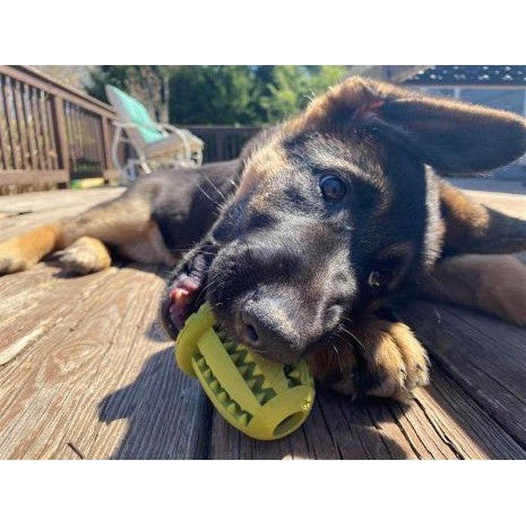A German Shepherd puppy chews on a yellow Tall Tails Natural Rubber Acorn Toy on a wooden deck with a chair in the background.